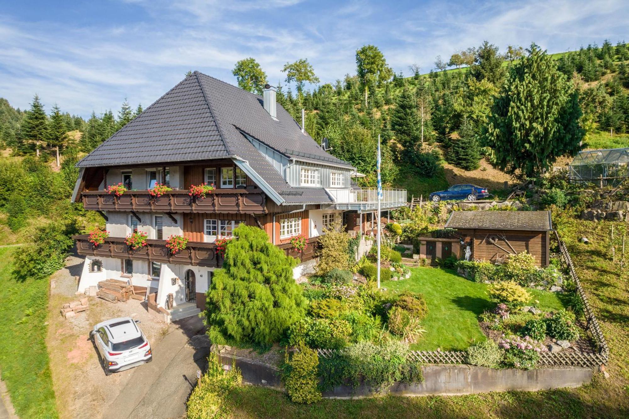 Dalblick Apartment Oberharmersbach